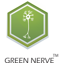 Neuro protective Neuro protective